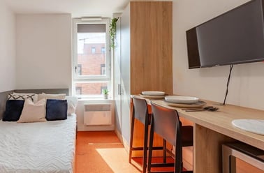 Cliveland Street, Aston, Birmingham - Image 2
